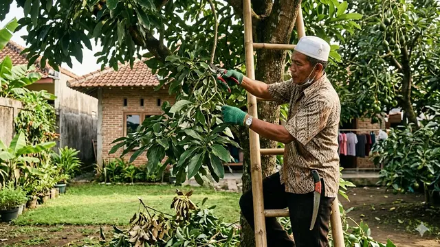 Cara Pemangkasan Alpukat agar Cepat Berbuah (Foto: Gemini AI)