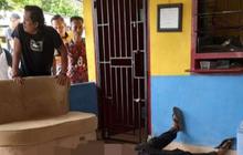 Hendak Bayar Listrik, Seorang Warga Tewas Usai Kepala Ditembak Orang Tak Dikenal