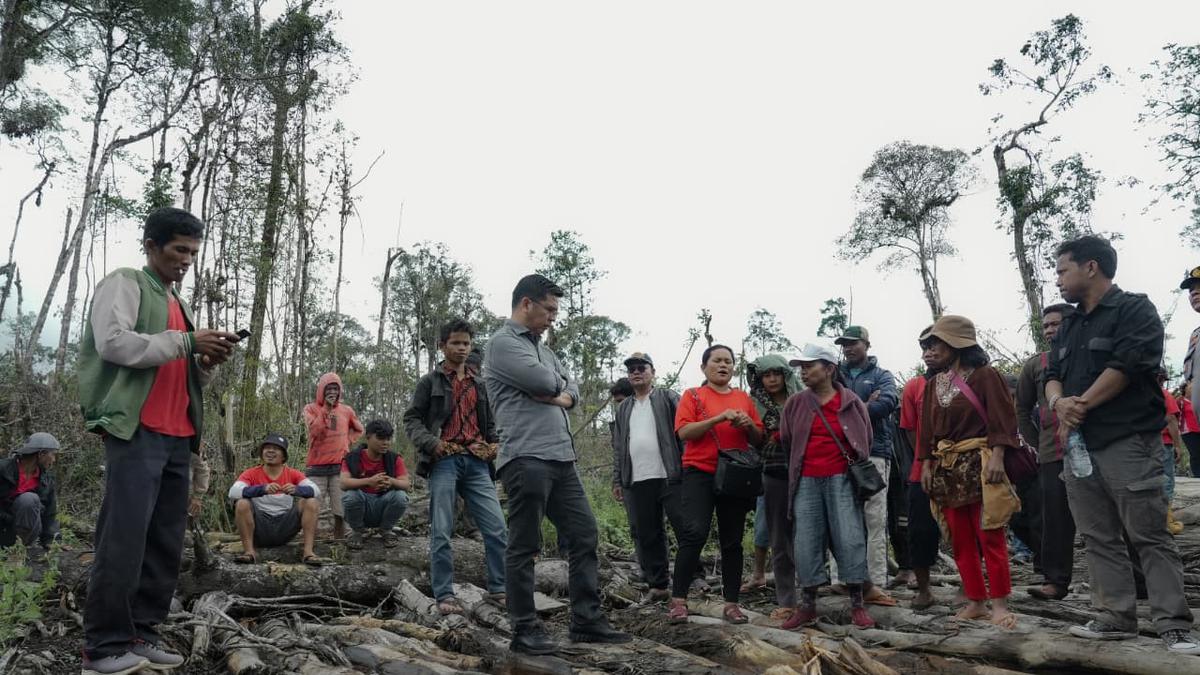 Marak Perambahan Hutan di Dairi, Bane PDIP: Deforestasi Harus Segera Dihentikan