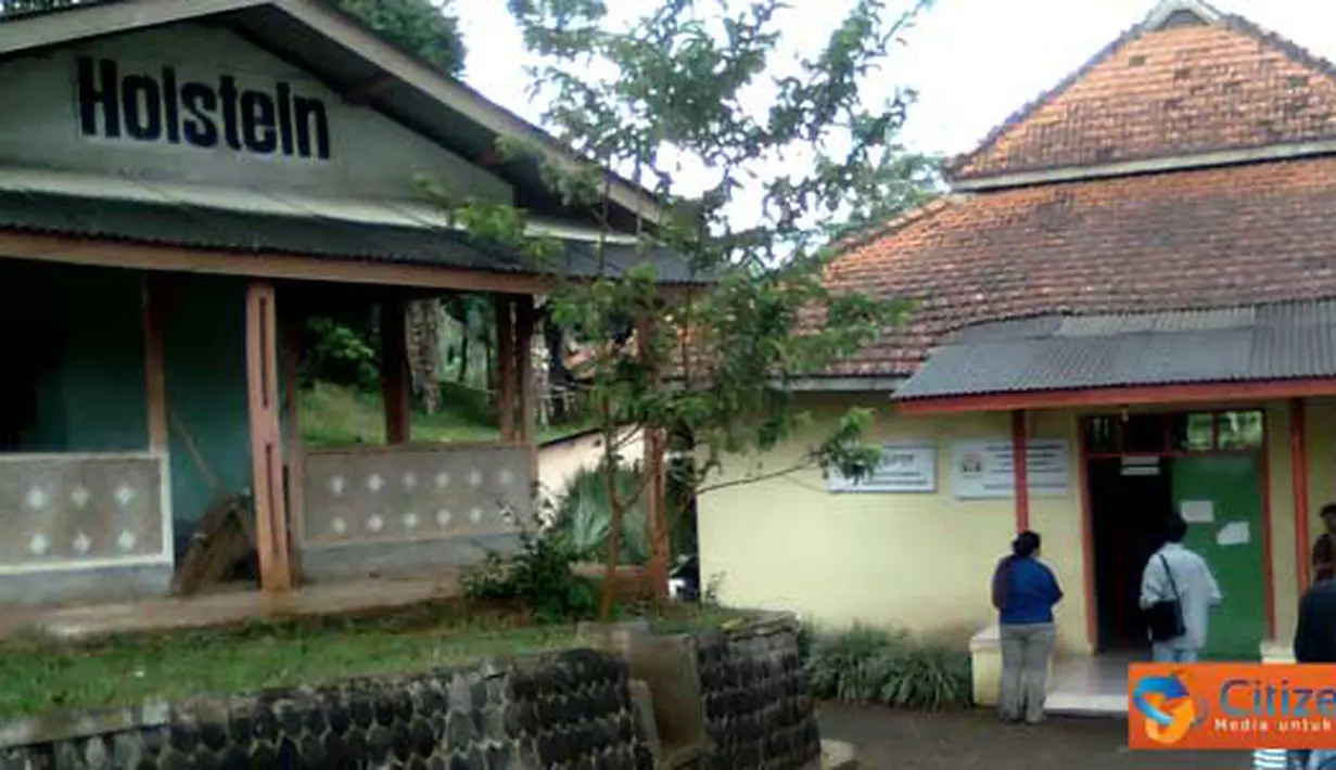 liputan6