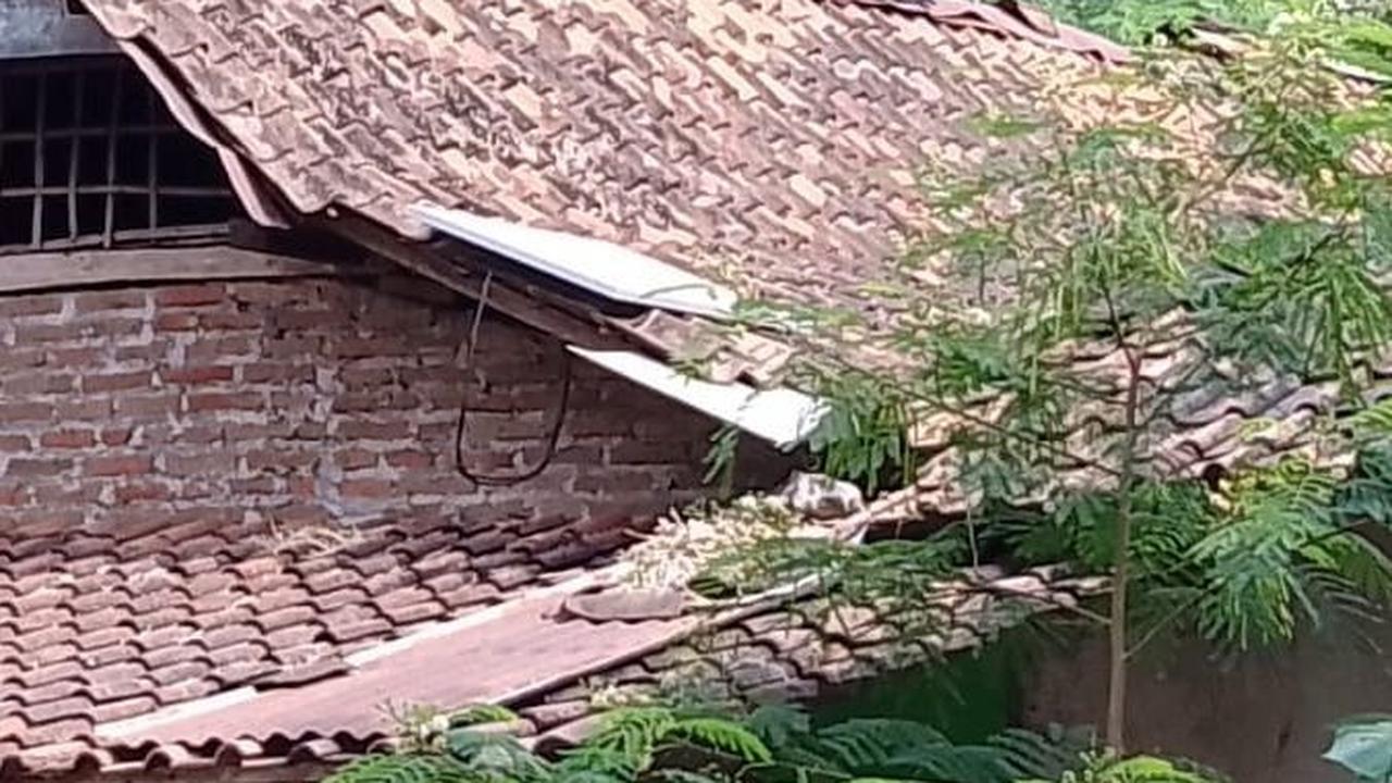 Masih Minim Dukungan Pemerintah, Ini Kisah Desa di Klaten Kembangkan Pembangkit Listrik Tenaga Matahari bagi Warganya