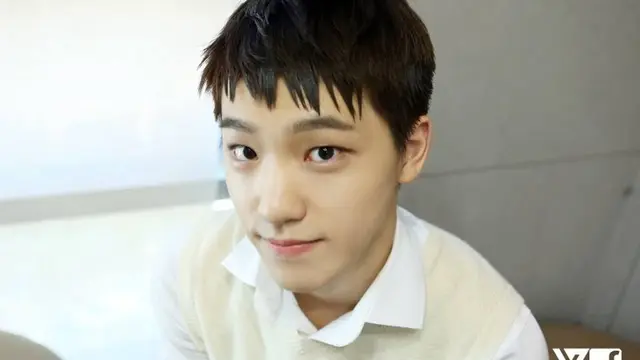 Dino SEVENTEEN