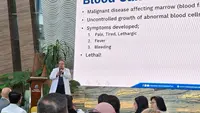 Kanker Darah Tak Selalu Vonis Mati, Dokter Ungkap Fakta Penting soal Peluang Sembuh