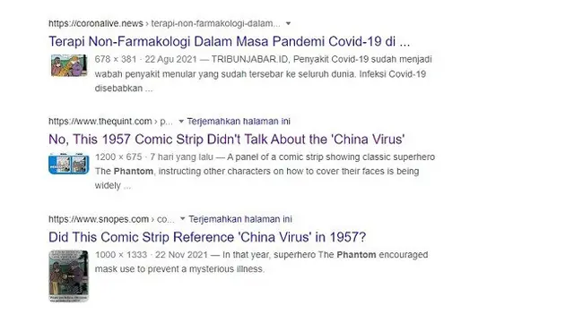 Gambar Tangkapan Layar Penelusuran Foto Menggunakan Google Images.
