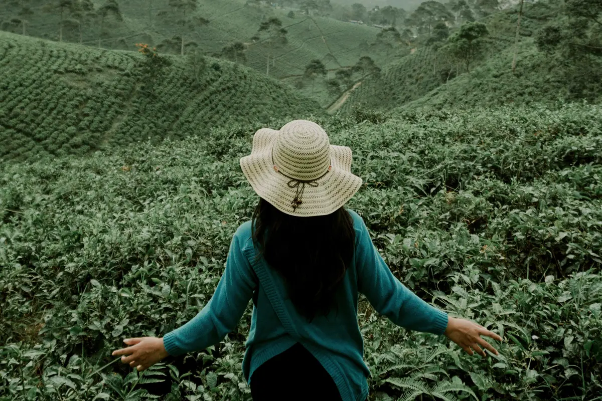 kepribadian