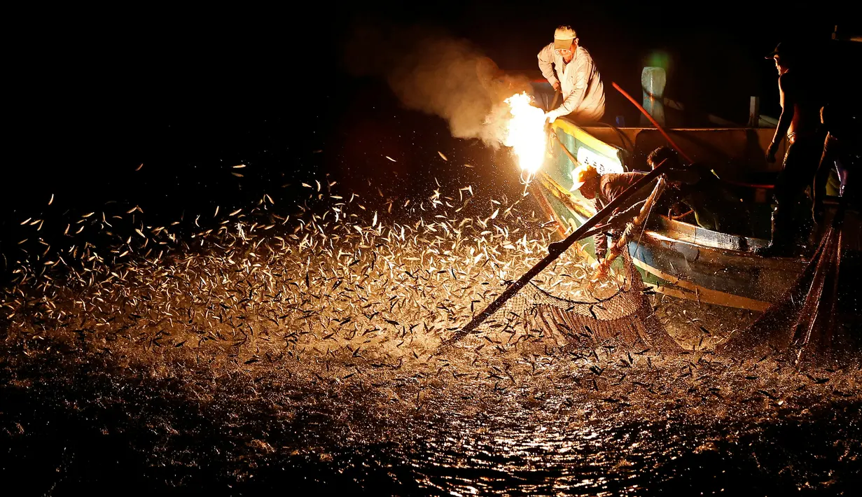 Nelayan menggunakan api sebagai umpan saat menarik ikan di perairan New Taipei City, Taiwan, (19/6). Metode tradisional ini merupakan cara nelayan taiwan untuk mendapatkan ikan tanpa menggunakan bom yang dapat merusak ekosistem laut. (REUTERS/Tyrone Siu)