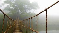 Ilustrasi jembatan kuno terbuat dari tali yang membentang sampai ke hutan rimba.