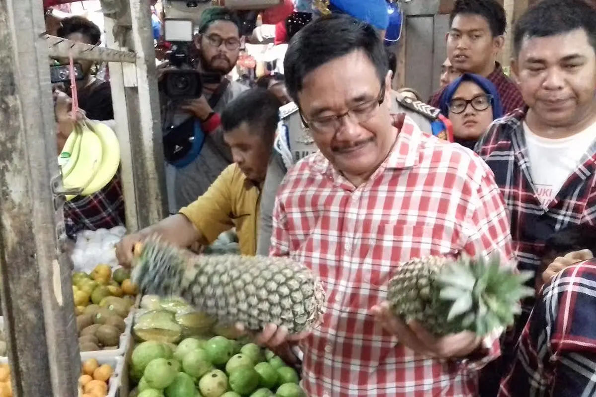 Djarot Saiful Hidayat 