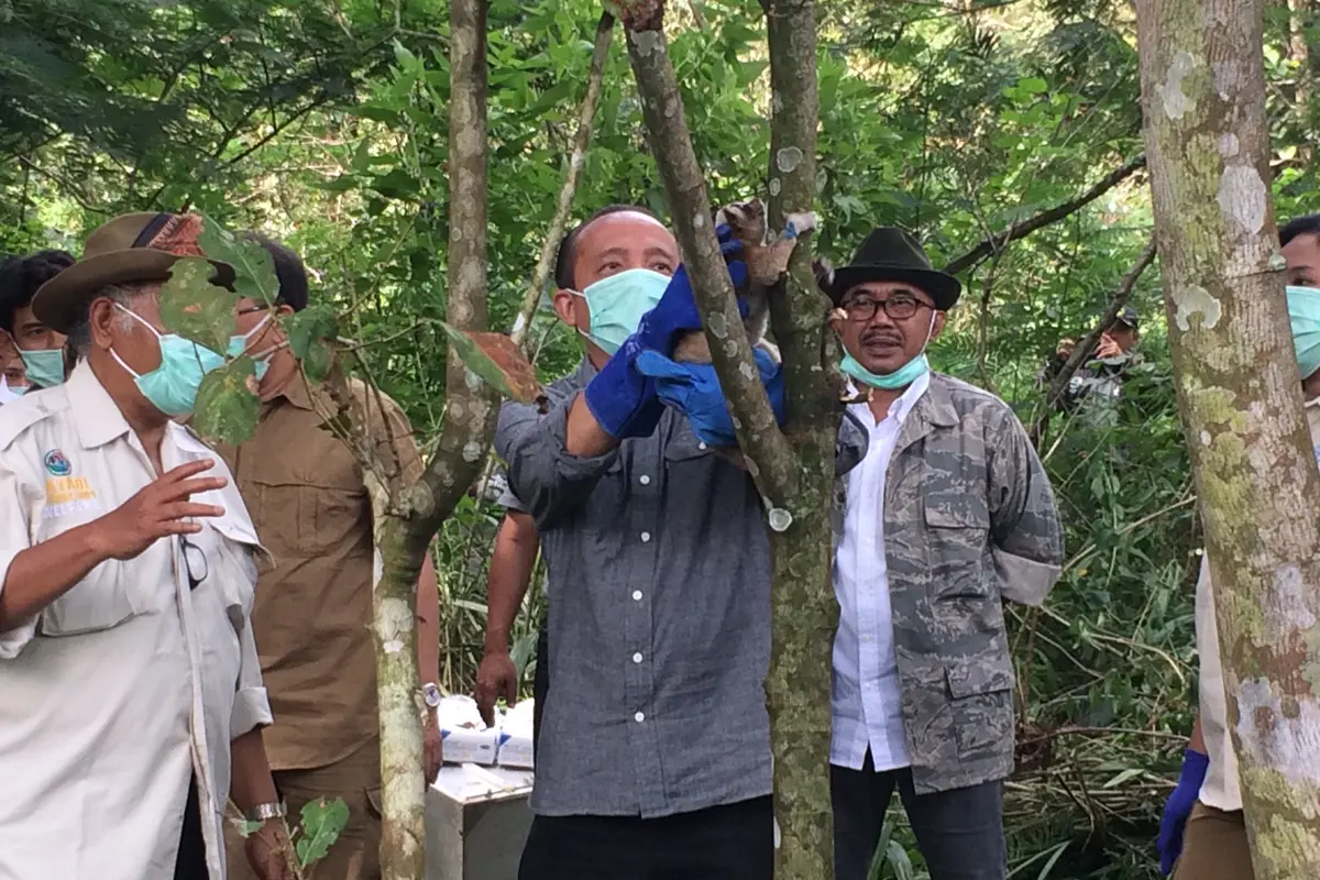 Pelepasliaran Kukang Jawa di Gunung Ciremai