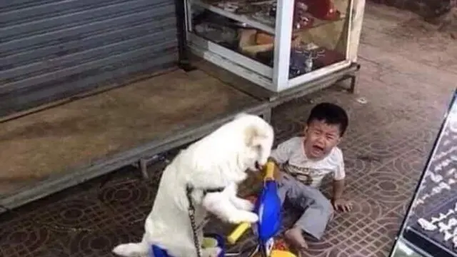 10 Potret Lucu Bocah Lagi Apes Ini Ekspresinya Bikin Kasihan