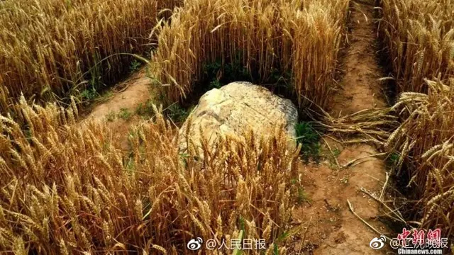 Tidak Sulit Didaki, Gunung Ini Hanya Setinggi 60 Centimeter