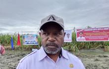 DLH Jayapura Segera Lakukan Pemangkasan Pohon Sentani untuk Keindahan dan Keselamatan