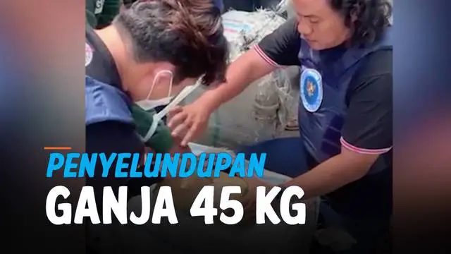 Petguas BNN Jambi berhasil menggagalkan usaha penyelundupan 45 kilogram ganja dari Aceh menuju Purwakarta, Jawa Barat. Ganja dibungkus dalam plastik dan dimasukkan ke dalam sebuah kardus.