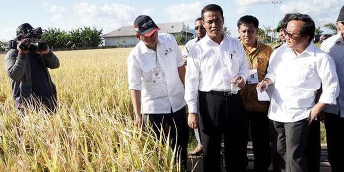 Kementan Ungkap Modus Mafia Pangan di Tata Niaga Sawit