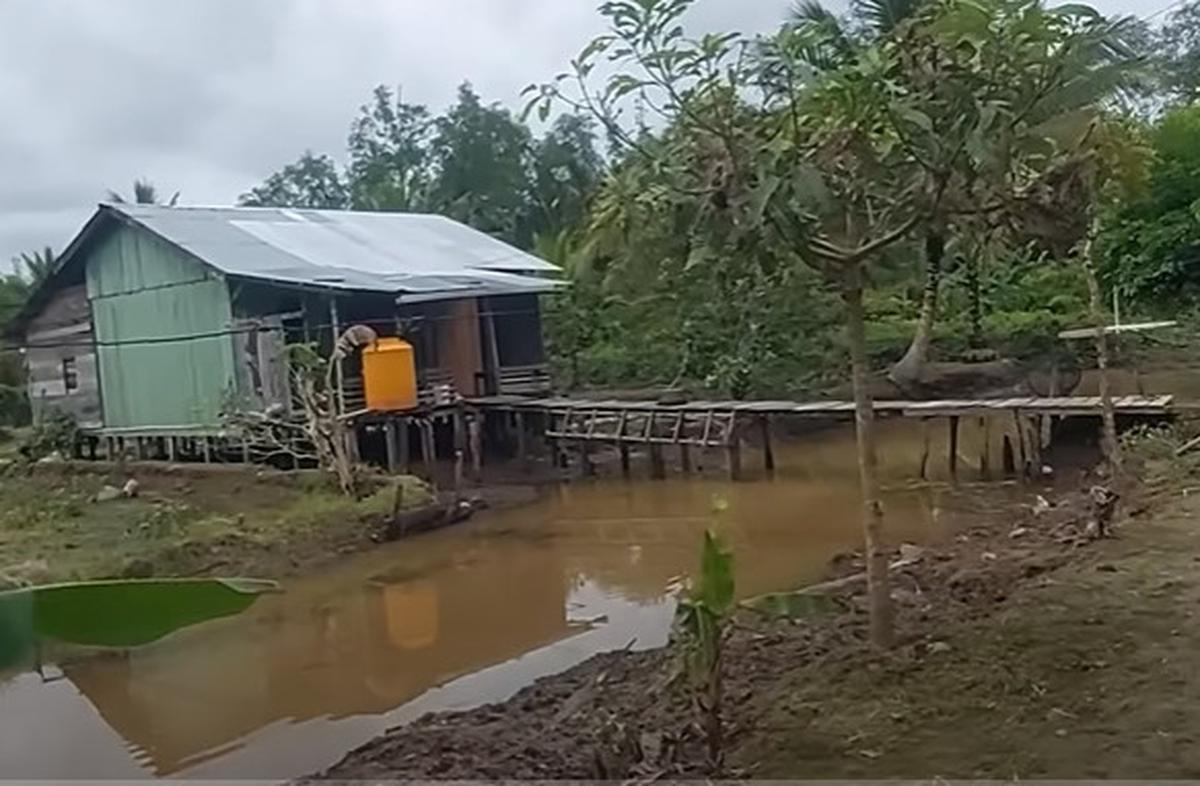 Cerita Wanita Paruh Baya Transmigarasi Asal Jogyakarta Sering Barbagi Makanan dengan Buaya 'Kita yang Kalah dia yang Kenyang'