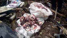 Uang dana PSKS senilar Rp 6,5 miliar yang dibawa dalam penerbangan pesawat Trigana Air tampak hangus dan rusak di Oksob, Pegunungan Bintang, Papua, Selasa (18/8/2015). (Istimewa)
