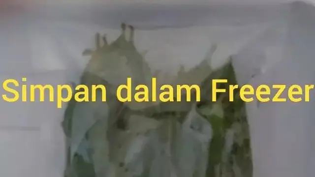 Ilustrasi Penyimpanan Daun Salam