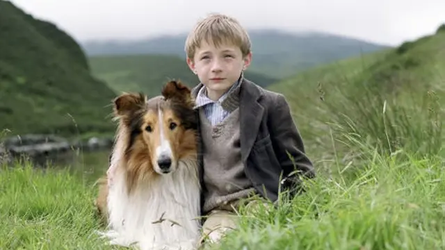 Lassie (2005)