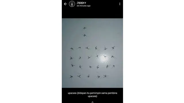 6 Potret Kreativitas Netizen Melihat Nyamuk Mati Ini Bikin Geleng-geleng