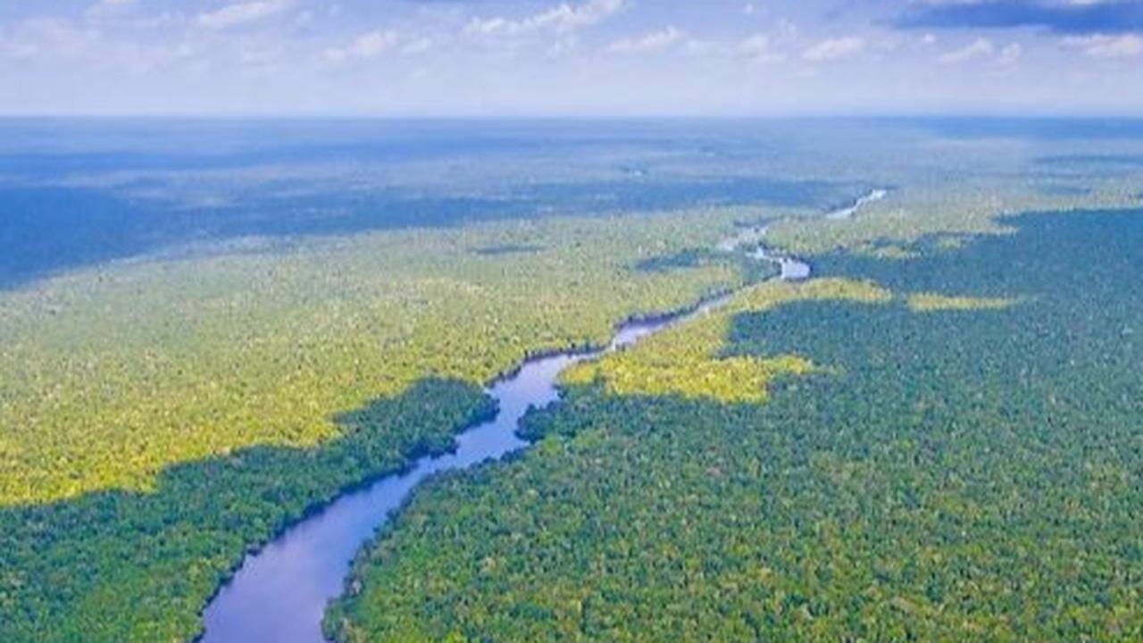 Fenomena Aneh, Mahasiswa Temukan Sungai Amazon Mengalir Mundur Saat Teliti Sedimen Sungai