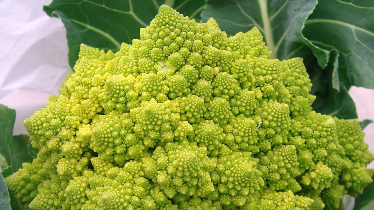 Brokoli Romanesco, Si Hijau Imut dengan Rasa Pedas