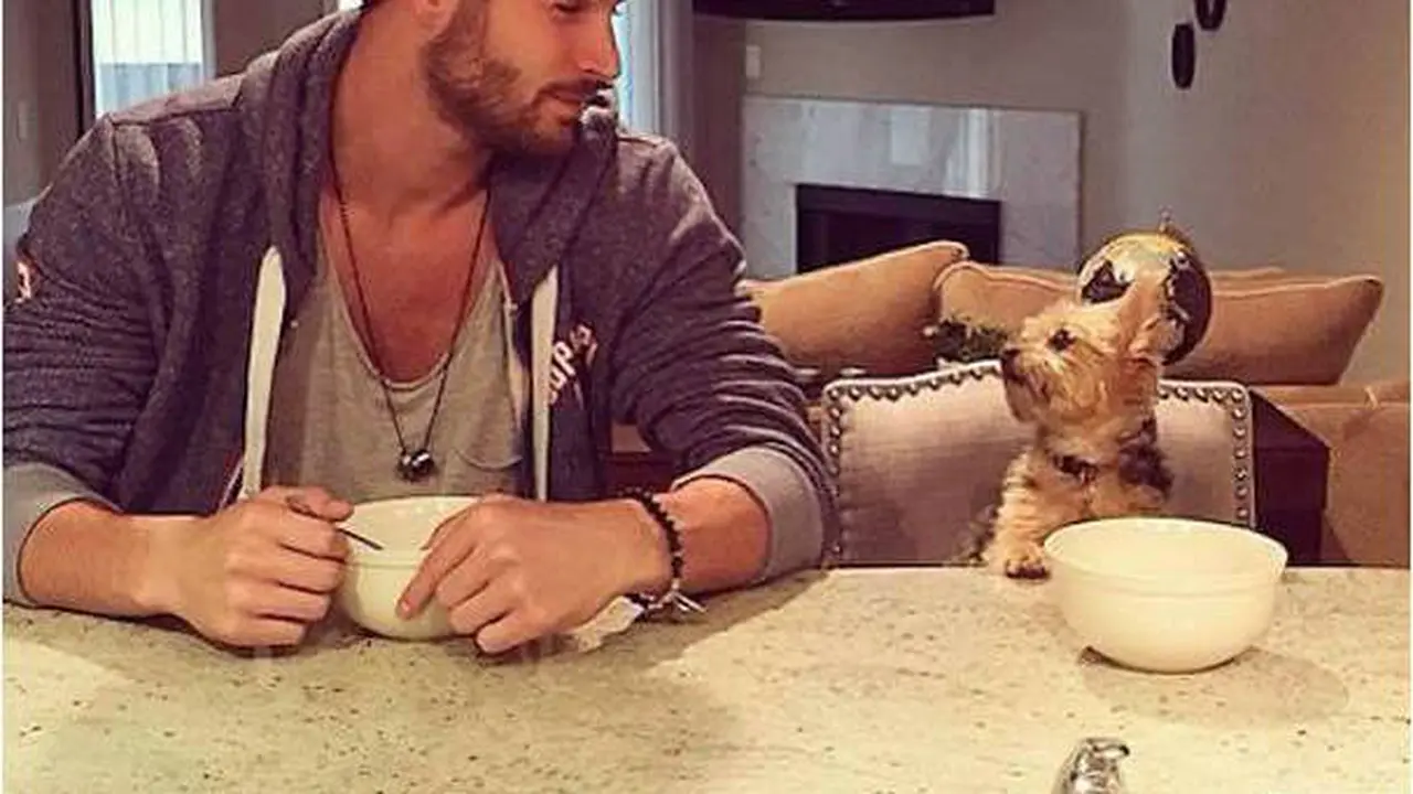 [Bintang] 10 Momen Imut Anjing bersama Majikan