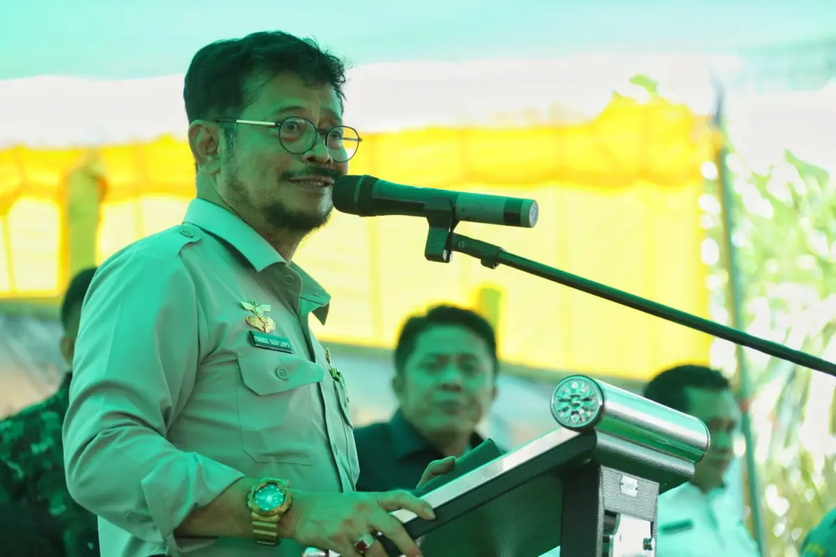 Petani OKI Siap Panen Raya 26 Ribu Ha Tanaman Padi di Tengah Pandemi Corona