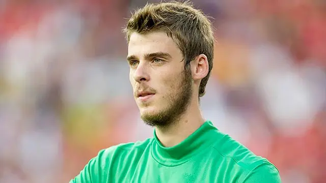 david-de-gea-131129b.jpg