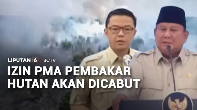 Perusahaan Asing Terancam Kehilangan Izin Jika Terbukti Bakar Hutan