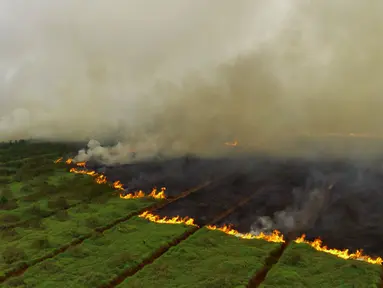 Foto udara yang diambil pada tanggal 2 Oktober 2023 ini menunjukkan kebakaran lahan gambut yang menjalar ke sebuah perkebunan di Ogan Ilir, Sumatera Selatan. (Al ZULKIFLI/AFP)