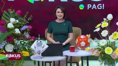 Simak Fokus Pagi (15/11) dengan berita-berita sebagai berikut, Bentrok Dua Kelompok Warga, Bendungan Alam Longsor, Warga Terisolir, Diguyur Hujan, Ruas Jalan Terendam Banjir, Sidang Vonis Investasi Bodong Binomo, Rumah Terbakar, Satu Orang Tewas.