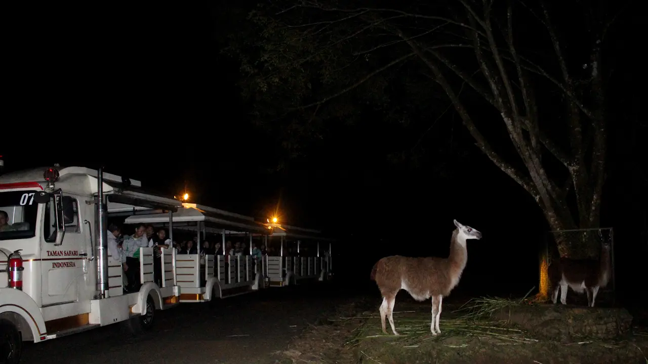 Taman Safari