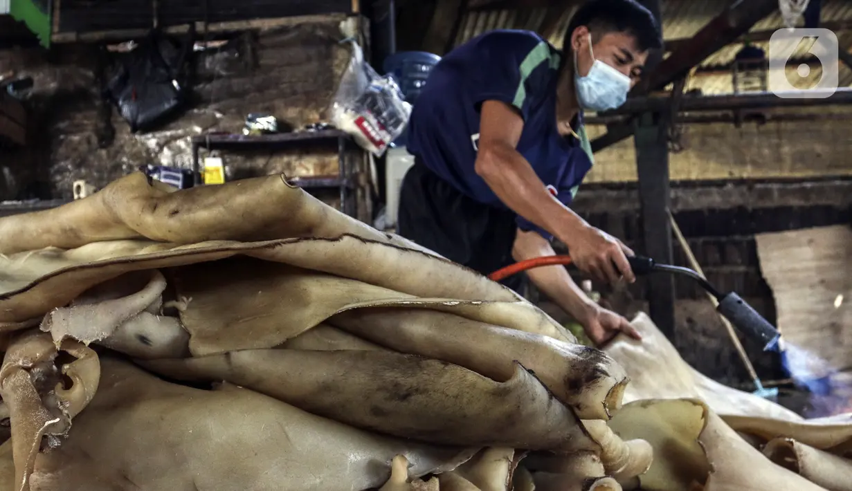 Pekerja membakar kulit sapi untuk dijadikan kerupuk di Kerupuk Kulit Bambang, Depok, Jawa Barat, Sabtu (28/8/2021). Pelaku usaha kerupuk kulit mengaku sejak Pemberlakuan Pembatasan Kegiatan Masyarakat (PPKM) produksi kerupuk kulit menurun hingga 60 persen. (Liputan6.com/Johan Tallo)