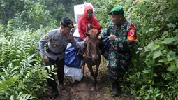 Polisi dan tentara mengawal petugas Pemilu 2019 yang menaiki kuda untuk mendistribusikan logistik ke TPS di desa-desa terpencil di Tempurejo, Jawa Timur, Senin (15/4). Selain kotak suara, petugas juga membawa perlengkapan pemilu lainnya. (AP Photo/Trisnadi)