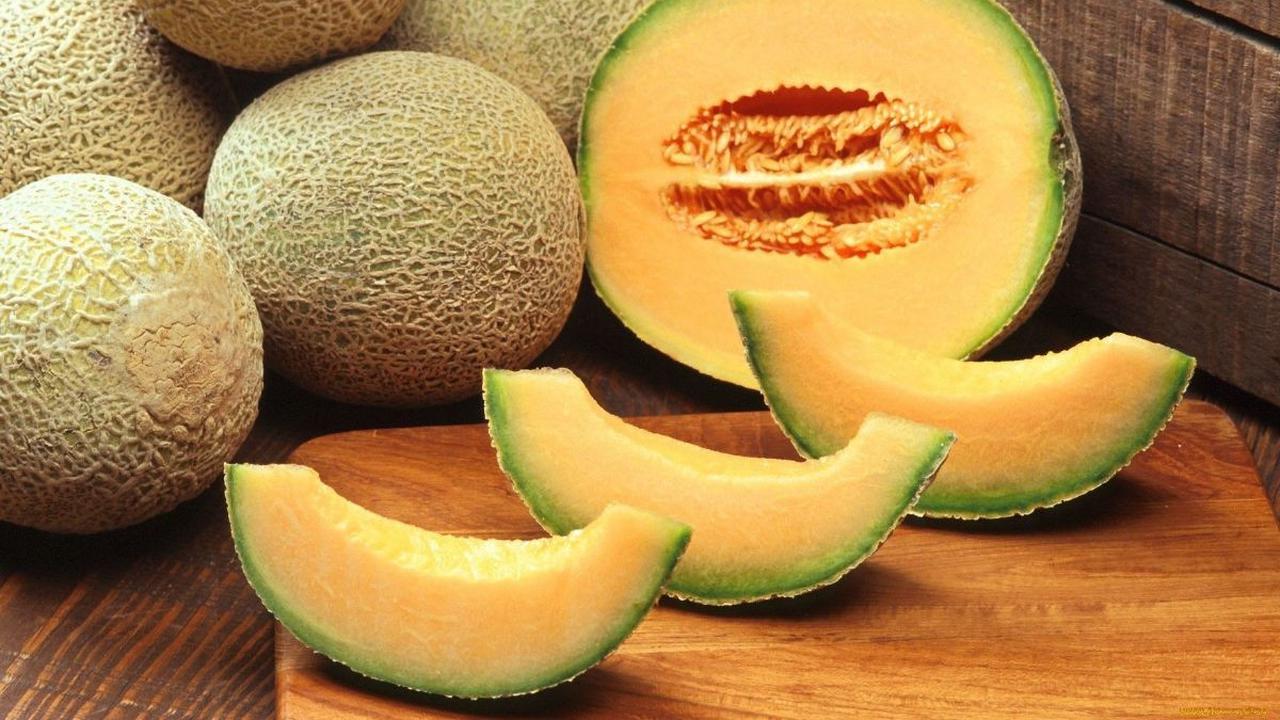 <b>Melon</b><br>