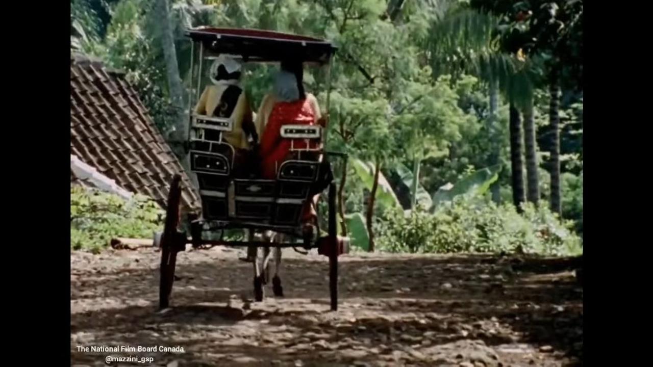 Tidak Ada Ojek dan Hanya Ada Delman