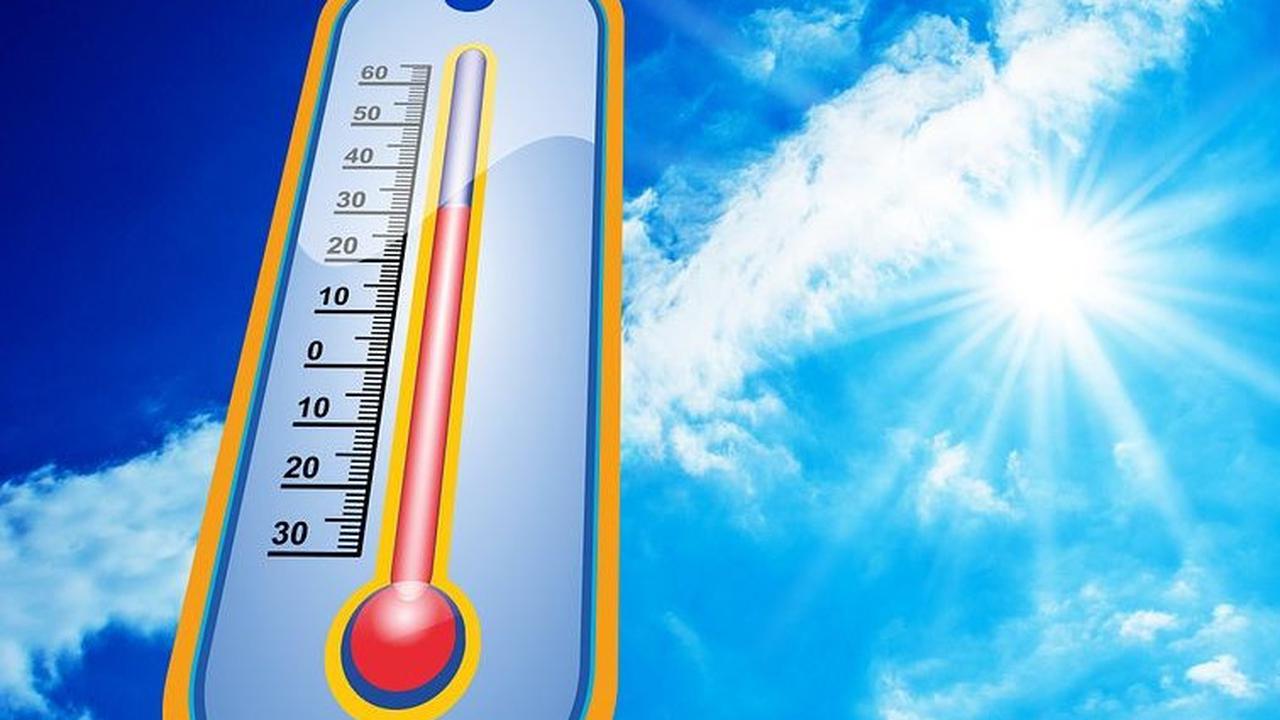 Kenali Tanda-Tanda Heatstroke yang Sangat Bahaya di Cuaca Panas