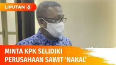 Banjir di Kalimantan Barat tak kunjung surut, Gubernur Sutarmidji menuding perusahaan industri sawit jadi penyebabnya. Bahkan Ia pun menyarankan KPK untuk menyelidiki perusahaan yang terindikasi nakal.