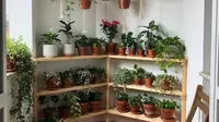 11 Desain Teras Sempit 2x2 Meter Jadi Kebun Mini Pakai Pot Bertingkat, Solusi Hijau Lahan Terbatas