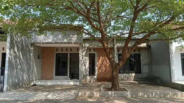 Rumah dengan Teras Mini dan 1 Pohon Rindang Model Industrial Teras Beton Ekspos