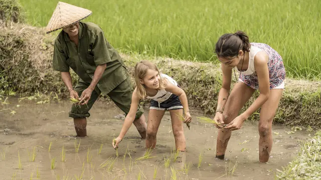 Merayakan Liburan Bernuansa Keberlanjutan di Four Seasons Resort Bali, Dari Pohon Natal Bambu hingga Program Konservasi Lebah