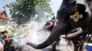 Warga dan seekor gajah saling menyiramkan air dalam perayaan festival air Songkran di provinsi Ayutthaya, utara Bangkok, Thailand, (11/4). Tahun baru Thailand dirayakan pada 13 April. (AP Photo/Sakchai Lalit)