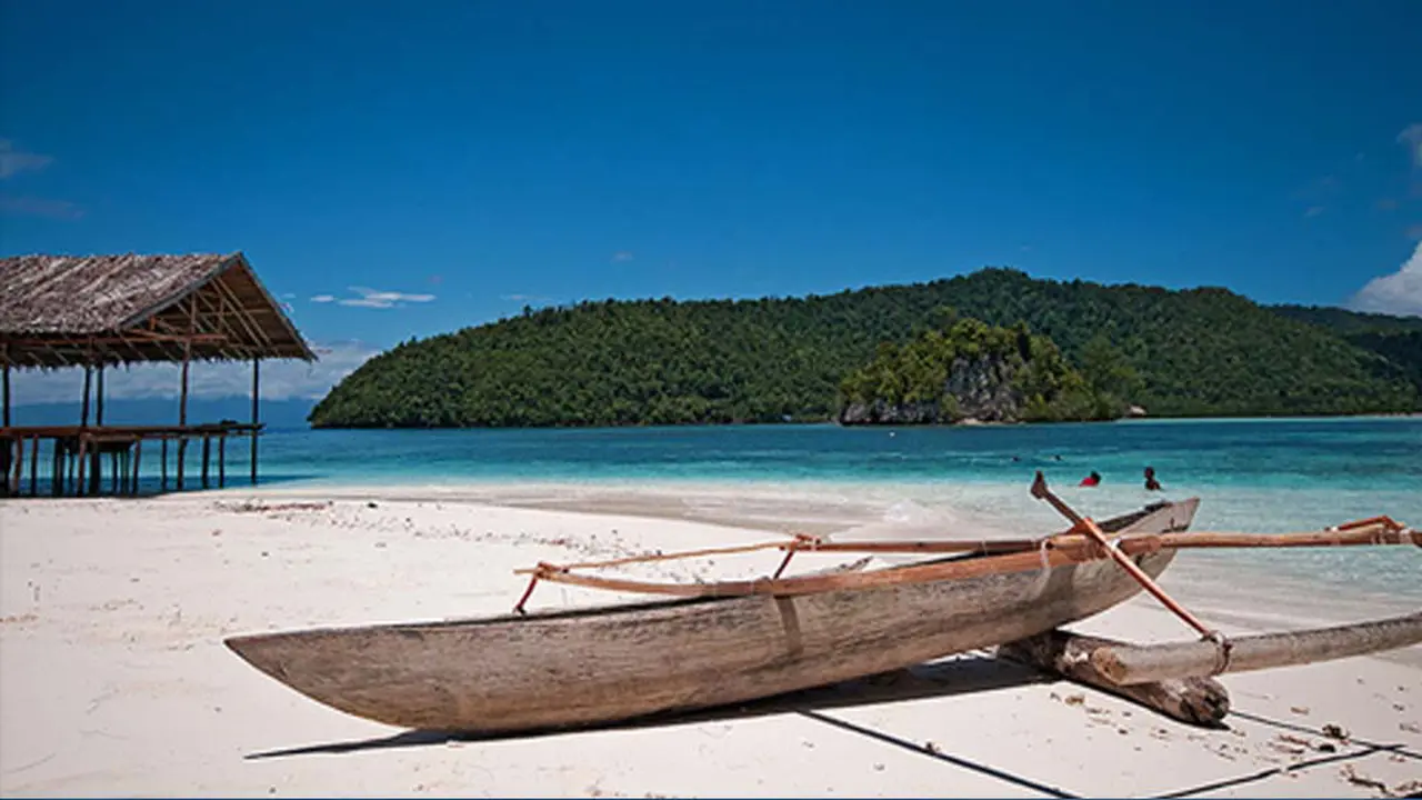 Berburu Laor, Pengalaman Tak Terlupakan di Halmahera Utara