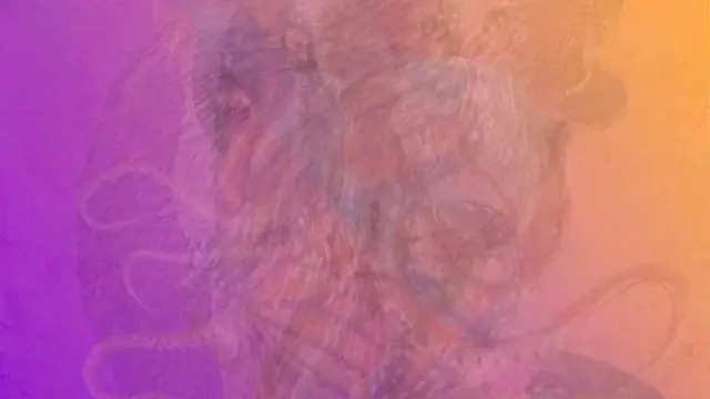 Hewan Pertama yang Dilihat dalam Ilusi Optik Ini Ungkap Kepribadianmu yang Sebenarnya