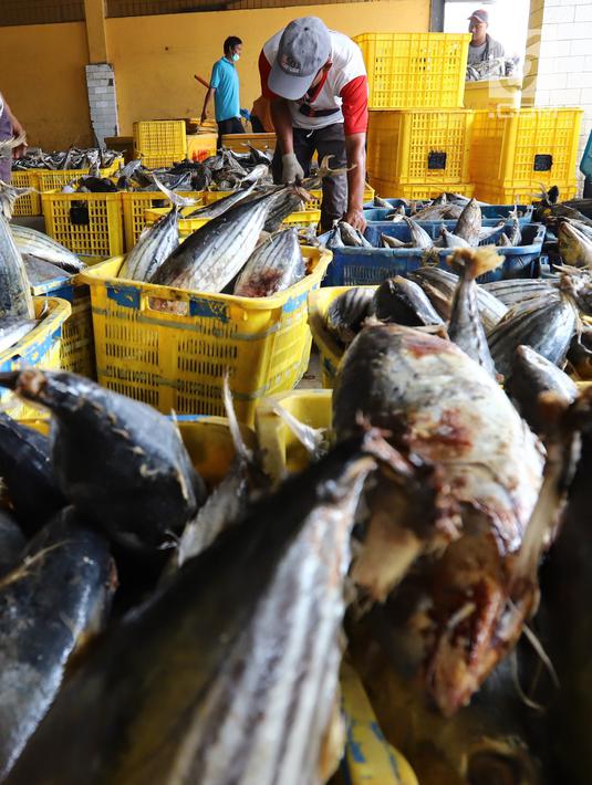 Nelayan memindahkan ikan laut hasil tangkapan di Pelabuhan Muara Angke, Jakarta, Kamis (26/10). Menurut Kementerian Kelautan dan Perikanan (KKP), ekspor produk perikanan tercatat sebanyak 510.050 ton pada semester I-2018. (Liputan6.com/Angga Yuniar)