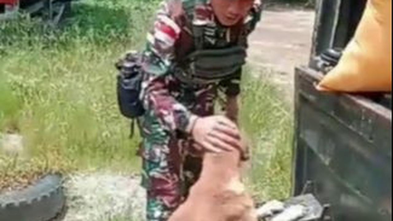 Seakan tahu akan ditinggal pergi majikannya, anjing itu seperti berat hati dan tak rela ditinggal.
