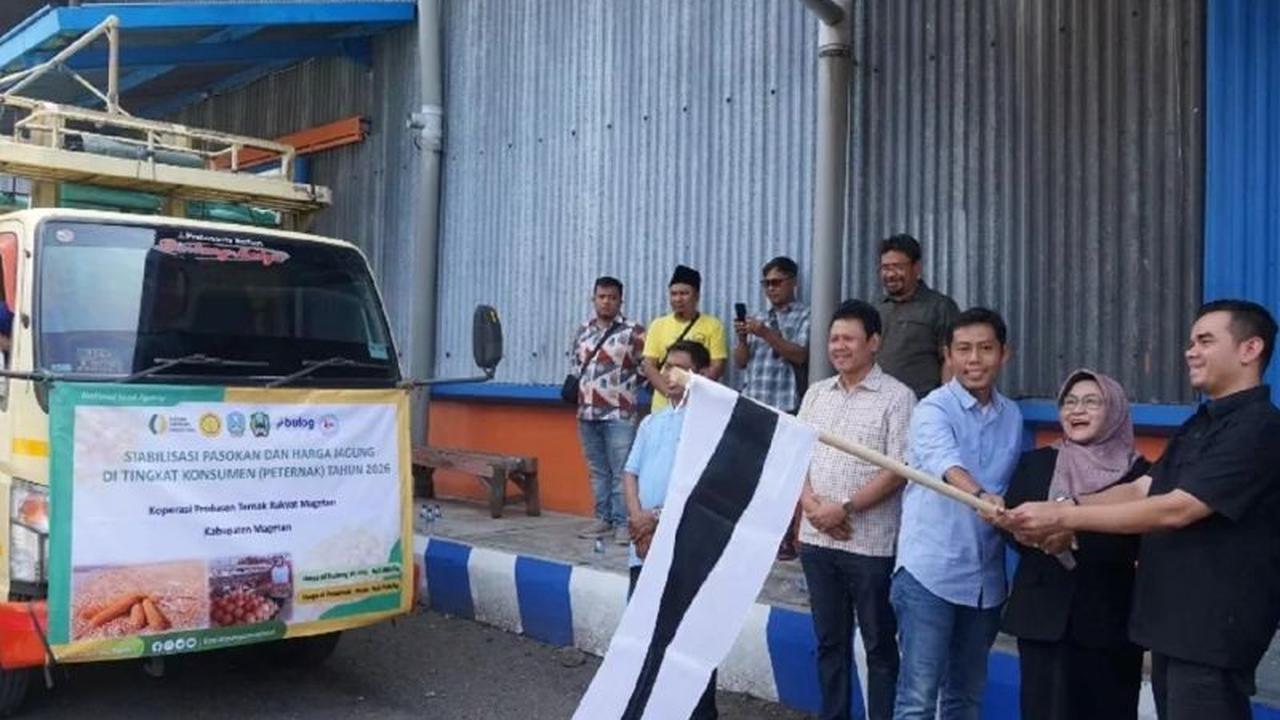 Jagung SPHP Magetan: Solusi Bapanas Redakan Beban Peternak di Tengah Fluktuasi Harga
