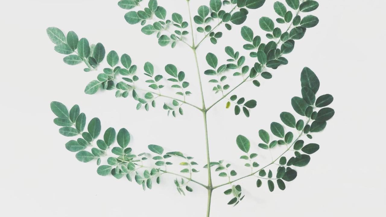 Dengan bantuan antioksidan, neuron otak dapat merespons rangsangan seksual dengan lebih baik, meningkatkan kemampuan mencapai klimaks atau orgasme yang lebih intens.