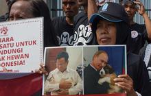 FOTO: Protes RUU Perlindungan Anjing-Kucing Gagal Masuk RUU Prolegnas, Aktivis Geruduk DPR Bawa Foto Prabowo dan Bobby