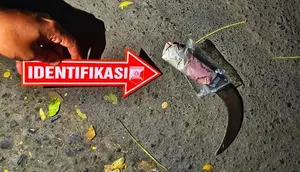 Perselisihan Berdarah Gegerkan Warga Sukabumi